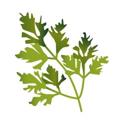 Fines herbes 4